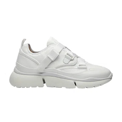 Pre-owned Chloé Sonnie Low Top 'white' | Men's Size 36