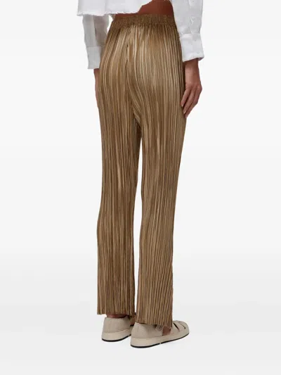 Osklen Pleated Trousers In Brown
