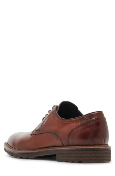 Steve Madden Hoxton Wingtip Derby In Brown