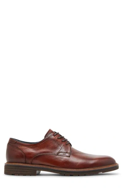 Steve Madden Hoxton Wingtip Derby In Brown