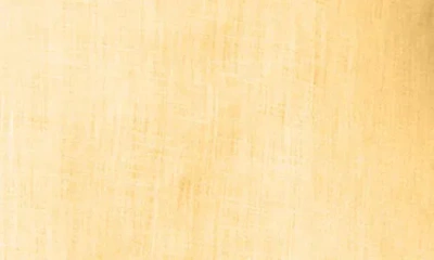 L*space Lspace Syros Linen Cover-up Top In Yellow