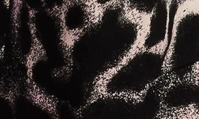 Jordan Chicago Print Pants In Black