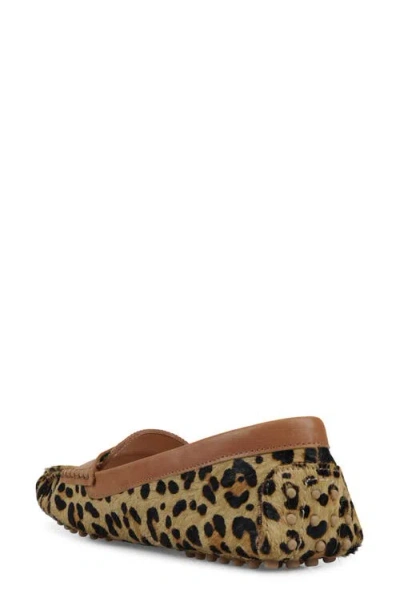 National Comfort Talulah Penny Loafer In Brown