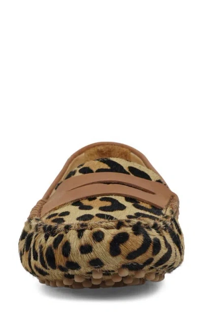 National Comfort Talulah Penny Loafer In Brown