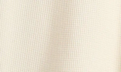 Diet Starts Monday Dsm Ignition Long Sleeve Waffle Graphic T-shirt In Neutral