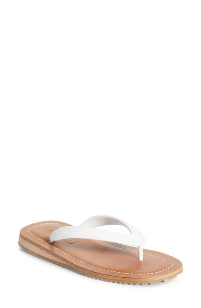 Miu Miu Logo Rubber Thong Sandals Notched Sole In White