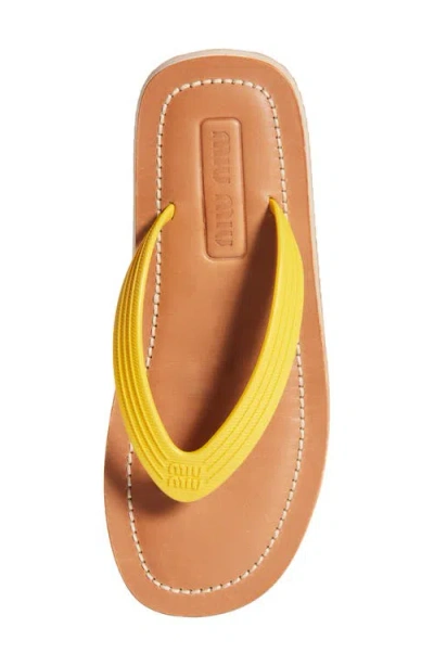Miu Miu Flip Flop In Yellow