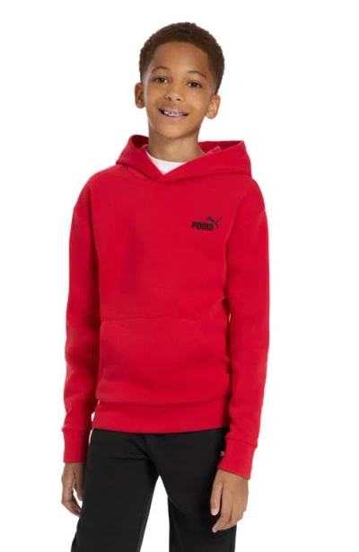 Puma Kids' Essential Basics Fleece Pullover Hoodie In Multi
