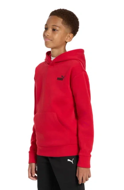 Puma Kids' Essential Basics Fleece Pullover Hoodie In Multi