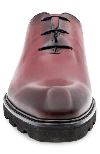 Mezlan Cortina Oxford In Multi