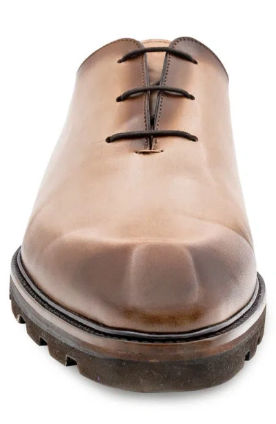 Mezlan Cortina Oxford In Multi