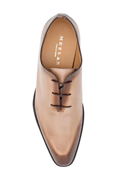 Mezlan Cortina Oxford In Multi