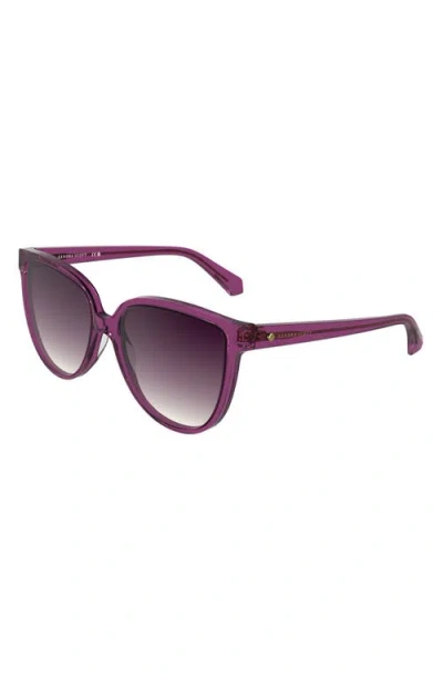 Kendra Scott Dira 57mm Gradient Tea Cup Sunglasses In Purple