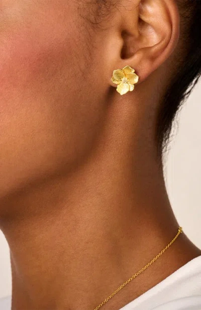 Dpt Antwerp Jasmine Small Studs In Brown