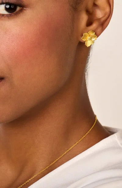 Dpt Antwerp Jasmine Small Studs In Brown