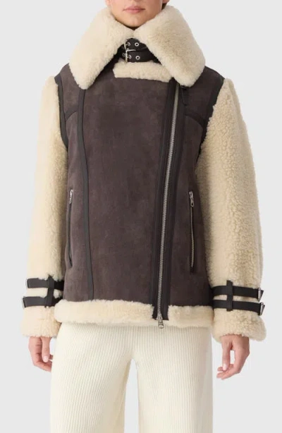 Mackage Rhoslyn Oversize Genuine Shearling Moto Jacket In Multi