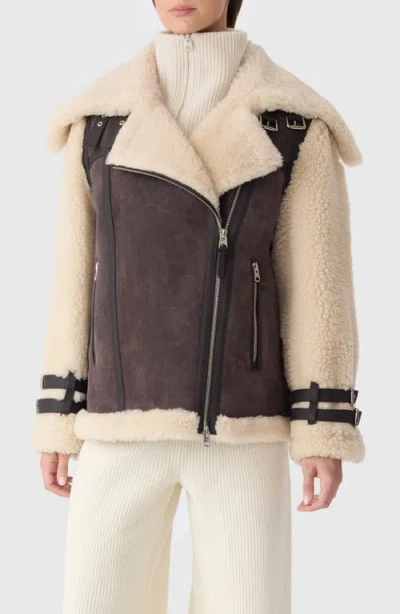 Mackage Rhoslyn Oversize Genuine Shearling Moto Jacket In Multi