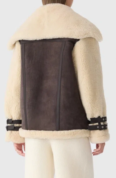 Mackage Rhoslyn Oversize Genuine Shearling Moto Jacket In Multi