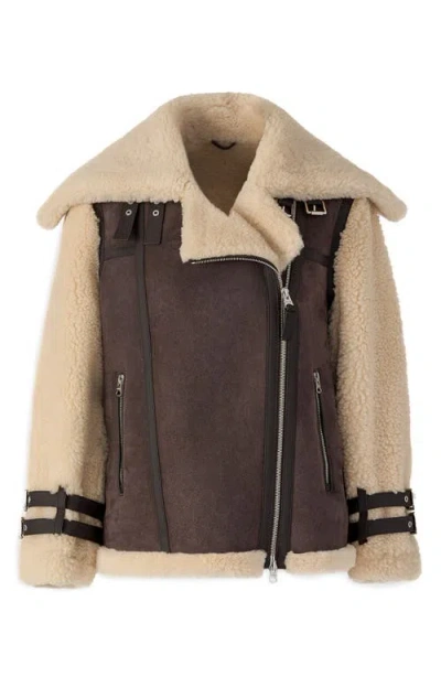 Mackage Rhoslyn Oversize Genuine Shearling Moto Jacket In Multi