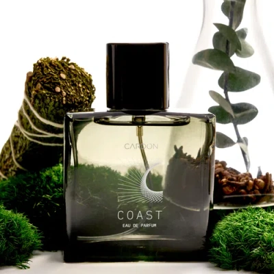 Cardon Coast Functional Fragrance In Black