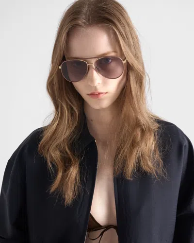 Prada Sunglasses With The Iconic Metal Plaque In Brown