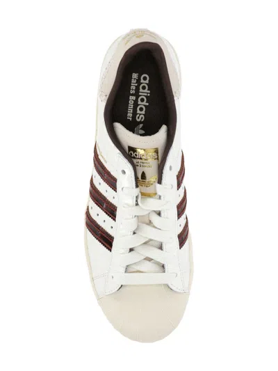 Adidas X Avavav Sneakers In White