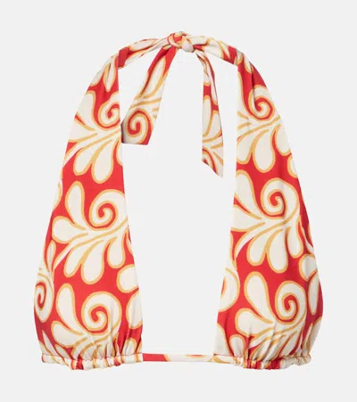 Cala De La Cruz Priscilla Printed Bikini Top In Animal Print