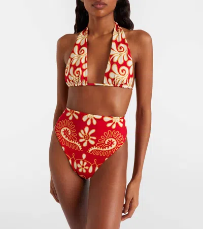 Cala De La Cruz Priscilla Printed Bikini Top In Animal Print