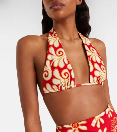 Cala De La Cruz Priscilla Printed Bikini Top In Animal Print