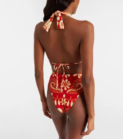 Cala De La Cruz Priscilla Printed Bikini Top In Animal Print