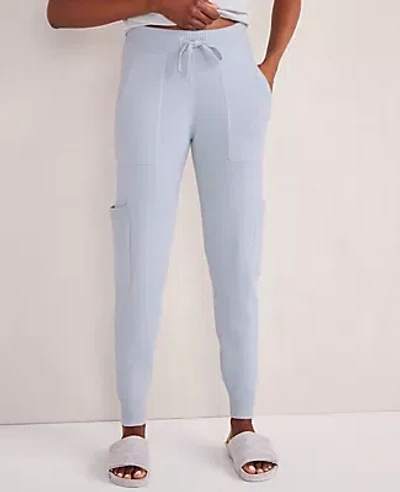 Ann Taylor Haven Well Within Cashmere Cargo Joggers In Blue