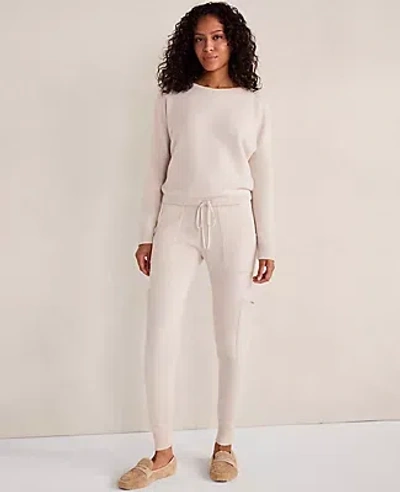Ann Taylor Haven Well Within Cashmere Cargo Joggers In Neutral