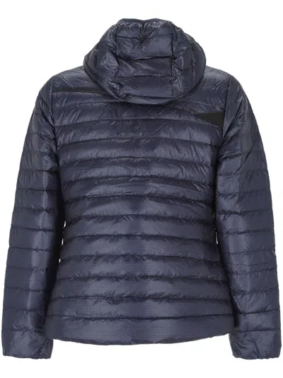 Klättermusen Jackets In Blue