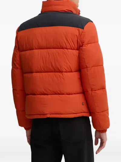 Save The Duck Taxus Padded Jacket In Orange