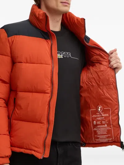 Save The Duck Taxus Padded Jacket In Orange