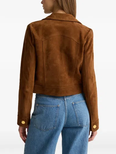 St John St. John Authentic Suede Jacket In Brown