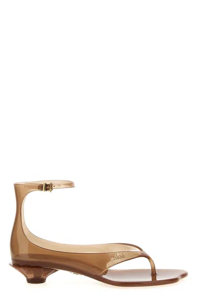 Chloé Chloe Women Biscuit Tpu Chloe Jelly Thong Sandals In Brown