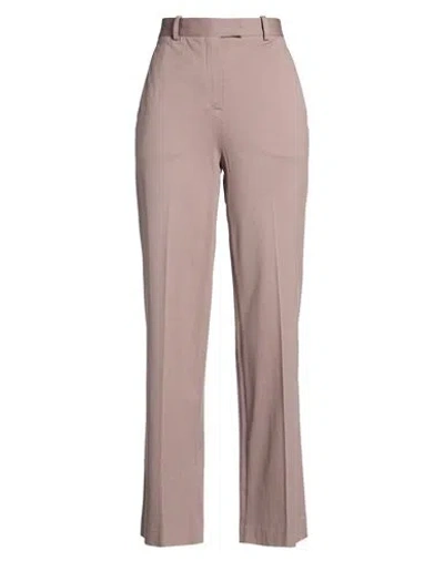 Circolo 1901 Woman Pants Taupe Size 8 Cotton, Elastane In Gray