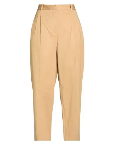 Circolo 1901 Woman Pants Camel Size 8 Cotton, Elastane In Neutral