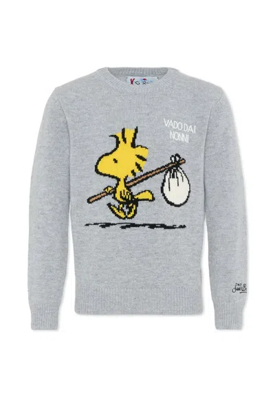 Mc2 Saint Barth Grey Sweater For Boy With Woodstock In Gray