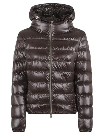 Herno Quilted High Collar Long Sleeve Jacket In Brown