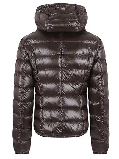 Herno Quilted High Collar Long Sleeve Jacket In Brown