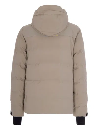 K-way Hooded Zip Jacket In Multi