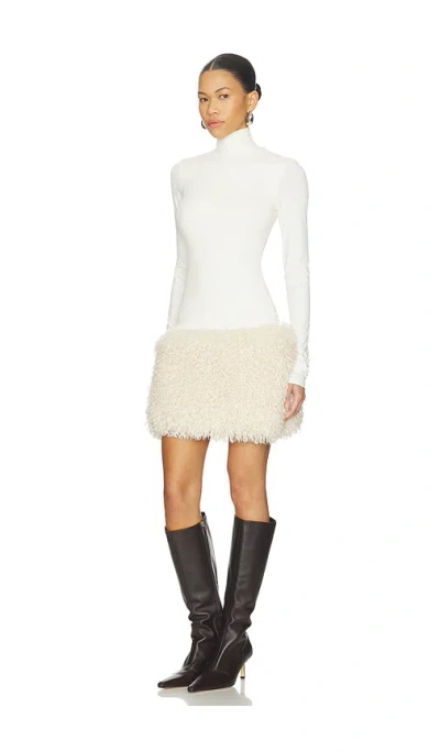 Aniye Records Nika Faux Fur Mini Dress In Brown