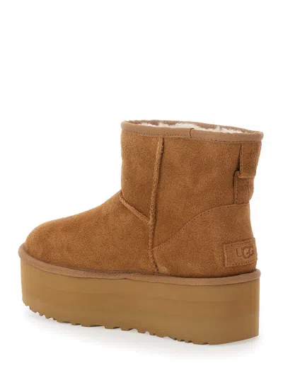 Ugg Classic Mini Platform Beige Ankle Boots With Platform In Suede Woman In Brown