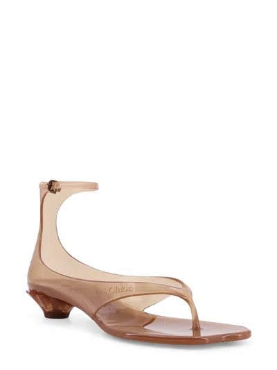 Chloé Tpu Jelly Sandals With Shell Heel In Pink