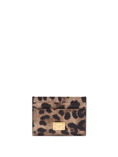 Dolce & Gabbana Leopard Print Card Holder In Brown