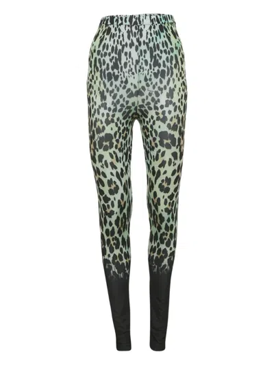 Pre-owned Roberto Cavalli Animal-print Leggings In Green