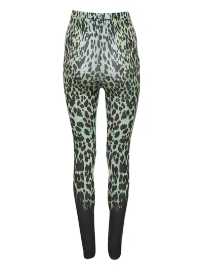 Pre-owned Roberto Cavalli Animal-print Leggings In Green