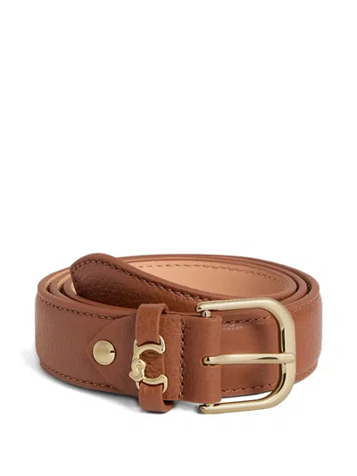 Coccinelle Buckle-fastening Belt In Brown